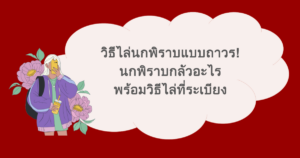 วิธีไล่นกพิราบแบบถาวร! นกพิราบกลัวอะไร พร้อมวิธีไล่ที่ระเบียง